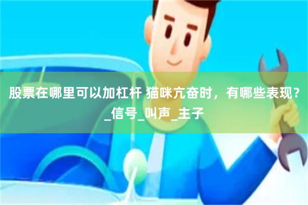 股票在哪里可以加杠杆 猫咪亢奋时，有哪些表现？_信号_叫声_主子