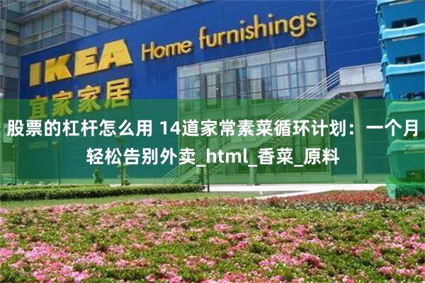 股票的杠杆怎么用 14道家常素菜循环计划：一个月轻松告别外卖_html_香菜_原料