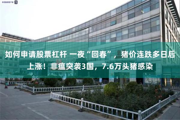 如何申请股票杠杆 一夜“回春”，猪价连跌多日后上涨！非瘟突袭3国，7.6万头猪感染