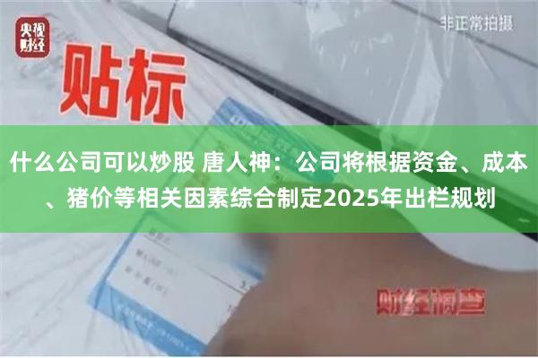 什么公司可以炒股 唐人神：公司将根据资金、成本、猪价等相关因素综合制定2025年出栏规划