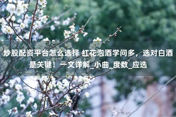 炒股配资平台怎么选择 红花泡酒学问多，选对白酒是关键！一文详解_小曲_度数_应选
