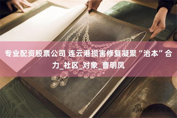 专业配资股票公司 连云港损害修复凝聚“治本”合力_社区_对象_曹明凤