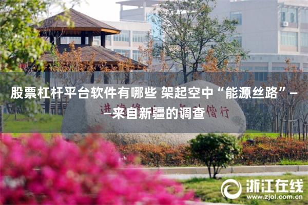股票杠杆平台软件有哪些 架起空中“能源丝路”——来自新疆的调查