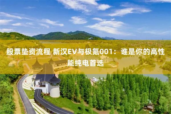 股票垫资流程 新汉EV与极氪001：谁是你的高性能纯电首选