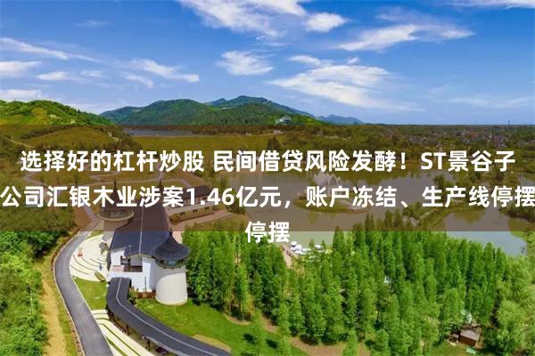 选择好的杠杆炒股 民间借贷风险发酵！ST景谷子公司汇银木业涉案1.46亿元，账户冻结、生产线停摆