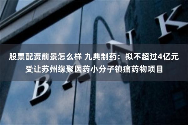 股票配资前景怎么样 九典制药：拟不超过4亿元受让苏州缘聚医药小分子镇痛药物项目