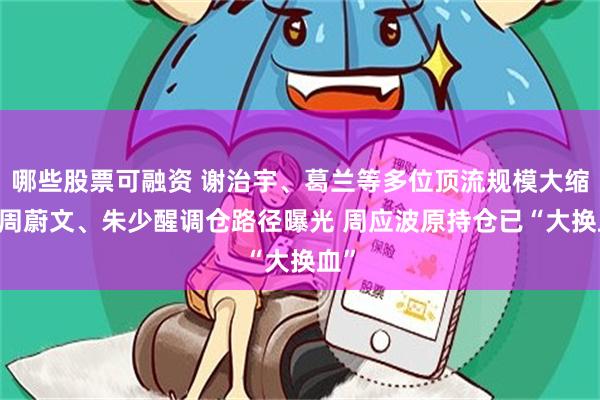 哪些股票可融资 谢治宇、葛兰等多位顶流规模大缩水 周蔚文、朱少醒调仓路径曝光 周应波原持仓已“大换血”